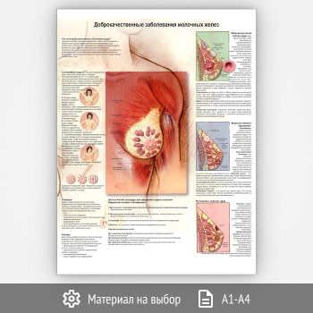 ������ ������������������ ����������� �������� ����� (���-08, 1 ����)