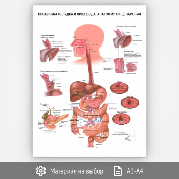 ������ ��������� ������� � ��������. �������� ������������ (���-34, 1 ����)