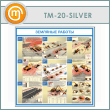 ����� ��������� ������� (TM-20-SILVER)